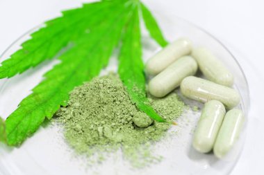 Esrar (uyuşturucular) kapsül haplı marihuana yaprağı tıpta sağlıklıdır. Alternatif tıp, Tıbbi esrar.