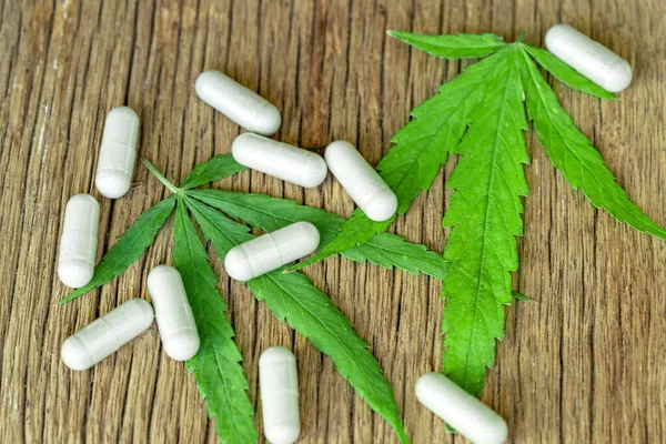 Cannabis Drogen Marihuana Blatt Mit Kapsel Pille Für Gesund Der — Stockfoto