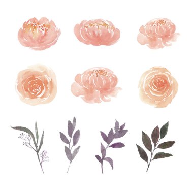 şık çiçekler şablon tasarımı, vektör illüstrasyonu