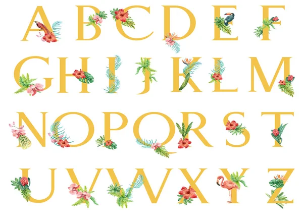 Stylisches Alphabet Vorlagendesign Mit Text Vektorillustration — Stockvektor