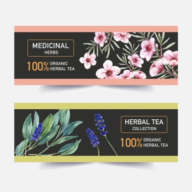 şık bitki çayı afişleri metin ve vektör illüstrasyonlu tasarım