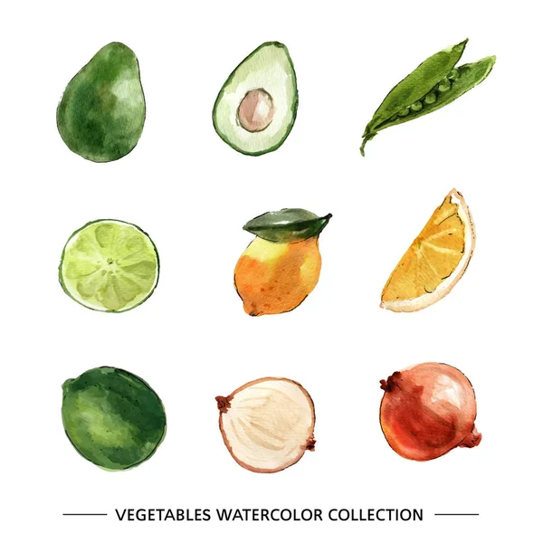 Стильный Набор Овощей Векторная Иллюстрация — стоковый вектор