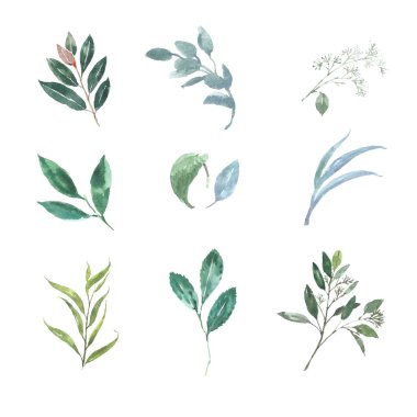 şık çiçekler şablon tasarımı, vektör illüstrasyonu