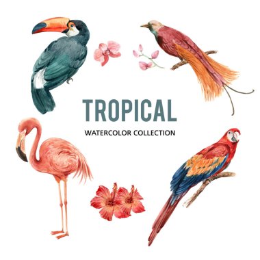 stil tropikal orman şablonu tasarımı metin, vektör illüstrasyonu