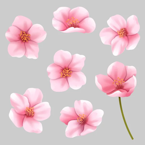 Fiore Rosa Clip Art Isolato Sfondo Grigio Illustrazione Vettoriale Perfetto — Vettoriale Stock