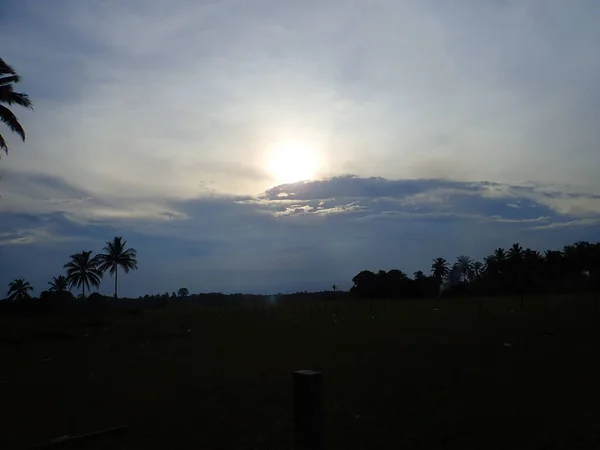 Scenery Sunset Coconut Tree Background — Stock Photo, Image