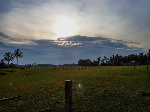 Landschaft Bei Sonnenuntergang Mit Kokospalmen Hintergrund — Stockfoto