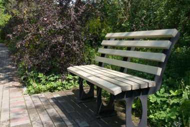 Kahverengi ve yeşil yaprakların ve ağaçların arasında, bir parkta, dikdörtgen kiremitlerle döşenmiş gri kaldırımın yanında boyanmamış gerçek beyaz ahşap bir bank.