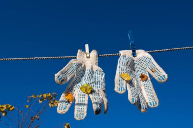 Bir çift beyaz iş eldiveni, iki mandalla bağlanmış, işten sonra mavi sivilceli ve yapraklı, mavi gökyüzüne karşı çamaşır ipine asılı, ve ağacın tepesinde sarı kuru yapraklar