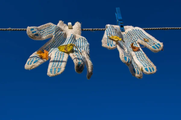 Önünde mavi sivilceli beyaz bir çift eldiven ve işten sonra yapraklar mavi gökyüzüne bağlı iki mandalla asılmış bir çamaşır ipinden sarkıyor. Kavram: Sonbahar temizliği ve temizlik