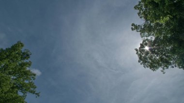 Parlak güneş, yoğun yeşil yaprakların arasından parlak bir yıldız gibi parlar. Uzun bir kireç ağacının yoğun taçından. Hafif dumanlı bulutlu mavi bir gökyüzüne karşı..