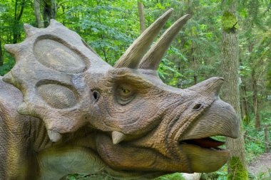 Triceratops dinazorunun, kahverengi yakalı, iki boynuzlu, sarı gözlü, arka planda yeşillik figürü. VILLAGE OTRADNOYE, KALINGRAD Oblastı, 25 HAZİRAN, 2020