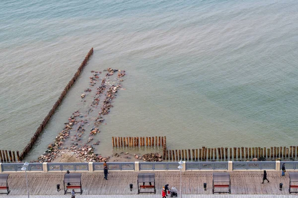 Paved embankment of azure sea with gazebos, metal railing, behind it is fence palisade of wooden logs along coastline, also in sea passed row of wooden piles and stone breakwater. Aerial top view. — Stock Image Paved Embankment Azure Sea Gazebos Metal Railing Fence Palisade Wooden Stock Image