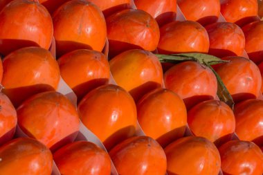 Orange ripe, juicy persimmon fruits, shining with sunlight flares on surfaces, stacked in rows in a wooden tray, placed inside the tray with white paper partitions, closeup view. clipart