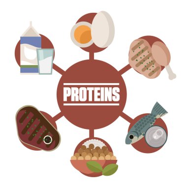 et, tavuk, ton balığı, yumurta, süt ve soya proteini besin kaynakları
