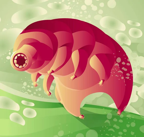 Mikroskobik Hayvan Tardigradı Suyun Altında — Stok Vektör