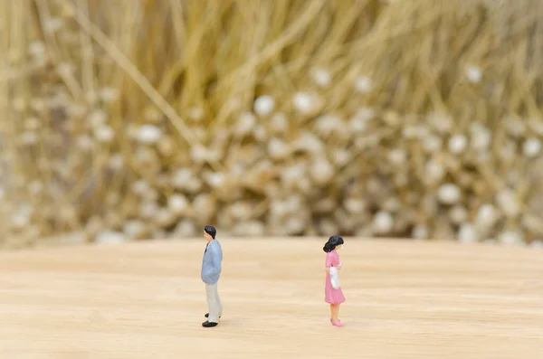 Mini figures man and women turn back to each other on wood table ,dry flower background