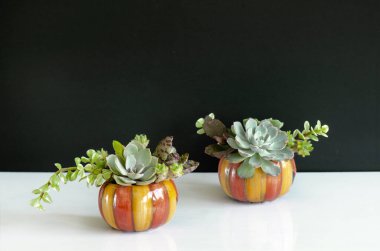 Beyaz masa arkaplanındaki kabak şekilli kabak şeklindeki yeşil sulu otun karışımı. 