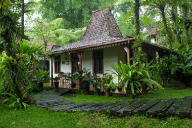Geleneksel java joglo evi veya rumah joglo