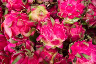 Bir yığın ejderha meyvesi ya da buah naga. tam çerçeve çekimi