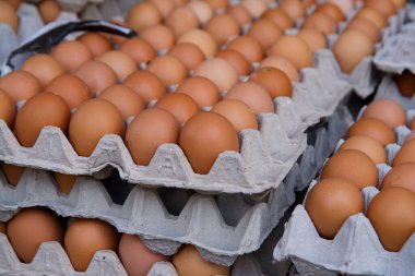 Kartonda yumurta yığını