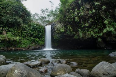 Batu Raden bölgesinde bulunan Bayan Şelalesi, Purwokerto, Orta Java, Endonezya