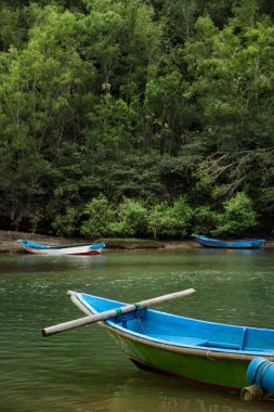 Nehirde küçük bir tekne