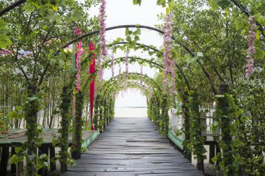 Yapraklar ve çiçeklerle dolu güzel bir koridor.
