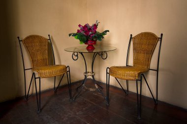 Antika rattan sandalyeler ve üzerinde bir saksı çiçek olan cam masa.