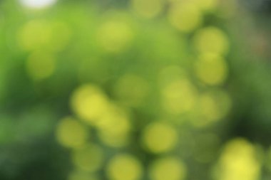 Arka plan için güzel yeşil ve sarı bokeh. soyut bokeh
