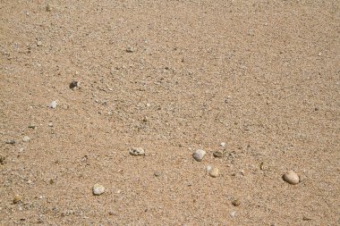 Temiz kum plajı ve beyaz dalga arka planı, doğa konsepti, açık hava ışığı, yaz konsepti arka plan, kopyalama alanı 