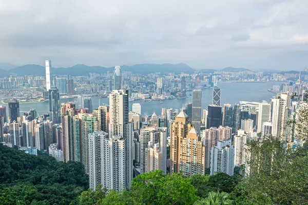 Önünde yeşil ağaçlar olan Hong Kong silueti.