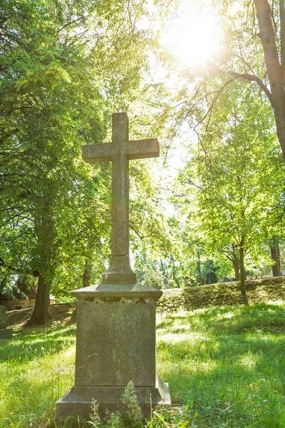 Sun shining on a grave cross at an old cemetery