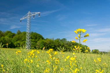 Yeşil elektrik ve yenilenebilir enerjinin sembolü olarak tecavüz alanındaki elektrik direği