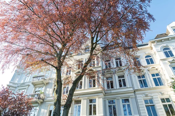 Güzel tarihi apartmanın beyaz cephesi