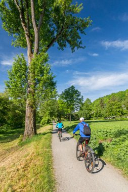 Bisikletçiler baharda bir parkta patikadan aşağı iniyorlar.