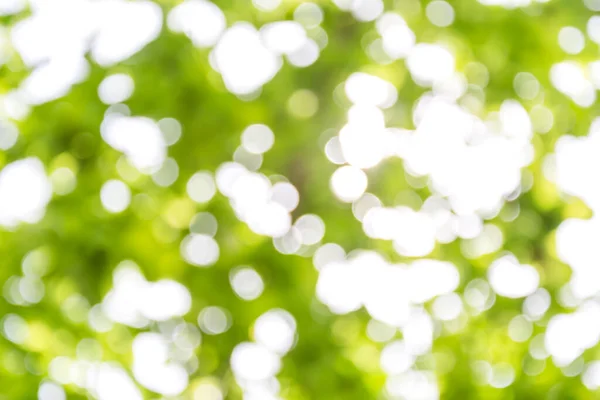 Arkaplan: doğa bahar bokeh