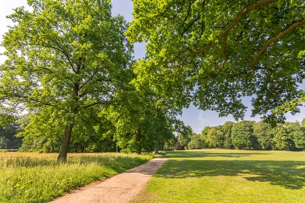 İlkbaharda şehir parkındaki patika