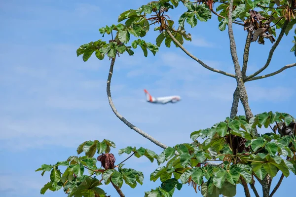 RIO 'nun üzerinde uçuyor