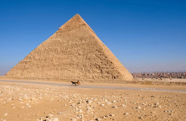 Pferd, Wagen, Pyramiden von Gizeh. Ägypten — Stockfoto