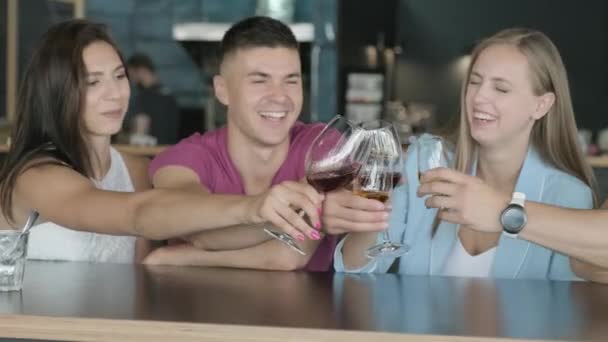 Teman Teman Duduk Bar Dan Minum Alkohol — Stok Video