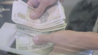 Eller Polonyalı zloti banknotlarını sayar. Banka kasası. 