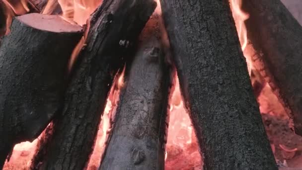 Leña Quemada Chimenea Cerca — Vídeos de Stock