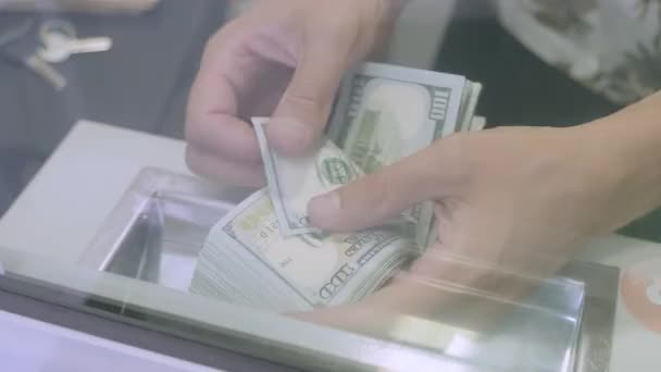 Руки Подсчитывают Количество Купюр Касса Банка 100 Долларов — стоковое видео