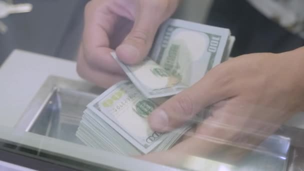 Hands Count Number Dollar Bills Bank Cash Desk 100 Dollars — Stock Video