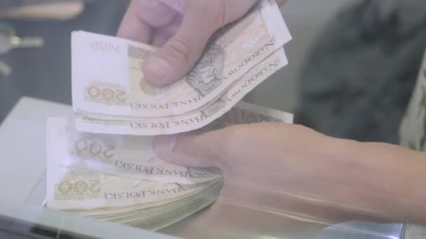 Mãos Contam Contas Zloty Polonesas Número Caixa Bancária — Vídeo de Stock
