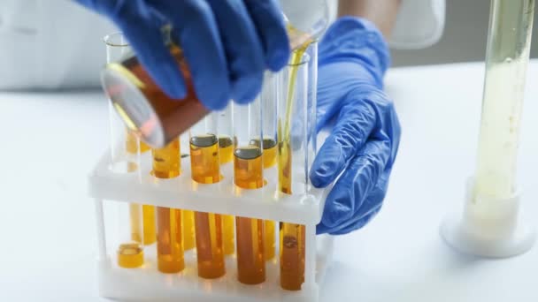 化学实验室现场 年轻迷人的博士生科学家观察玻璃管中的发动机油或蜂蜜 — 图库视频影像