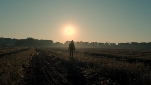 日の出と日没に焼かれた畑を歩く男 シルエット — ストック動画