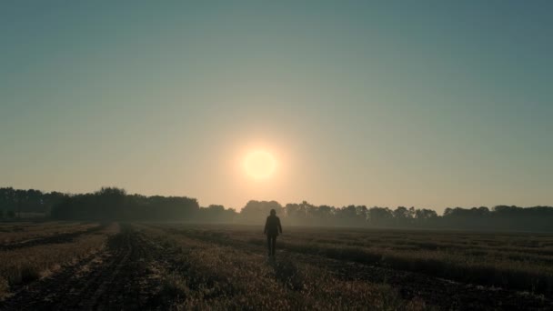 Uomo Cammina Attraverso Campo Bruciato All Alba Tramonto Silhouette — Video Stock