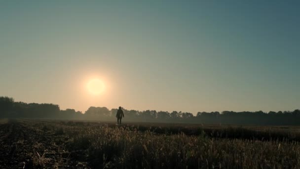 Seorang Pria Berjalan Melalui Lapangan Terbakar Saat Matahari Terbit Dan — Stok Video